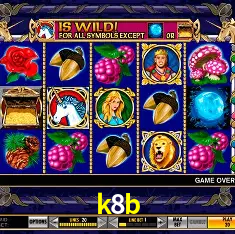 k8b Rio de Janeiro - Professional Dealers